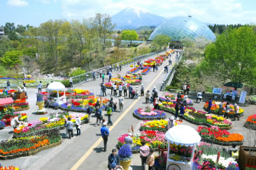 とっとり花回廊